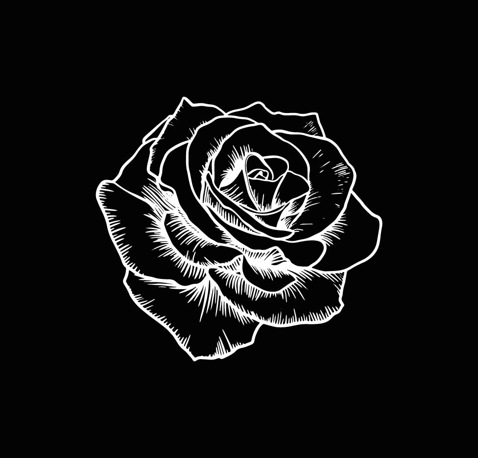 rosa-ingradientsx4up